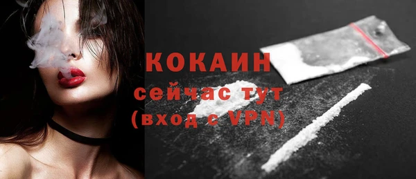 шишки Абаза