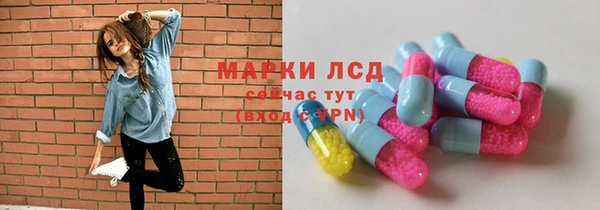 шишки Абаза