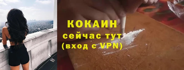 шишки Абаза