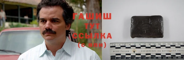 шишки Абаза