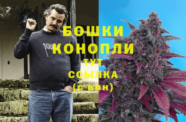 шишки Абаза