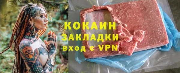 шишки Абаза