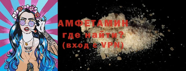 шишки Абаза