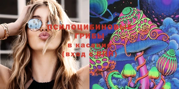 крисы Россошь