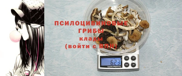 индика Алексеевка