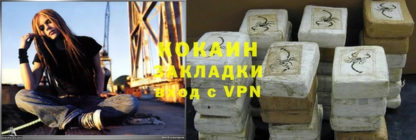шишки Абаза