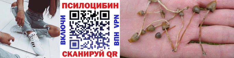 Псилоцибиновые грибы мицелий  Галич 